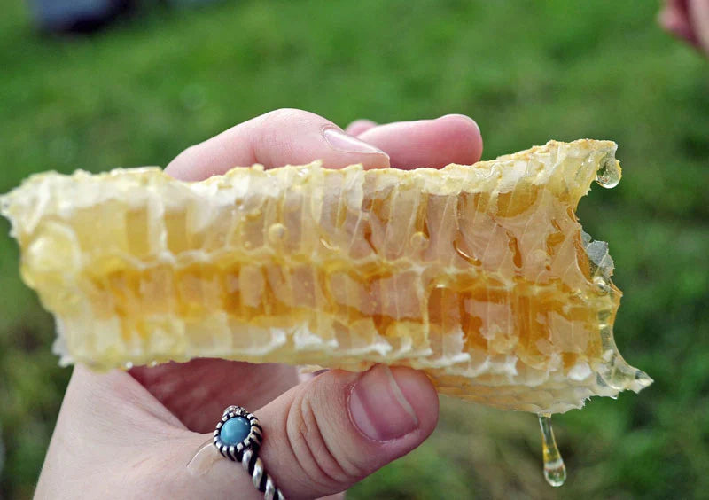 Can You Eat Honeycomb? Uses, Benefits & More