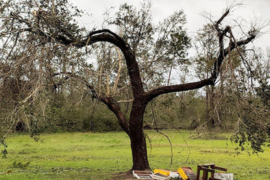 Hurricane Michael Wreaks Wewahitchka