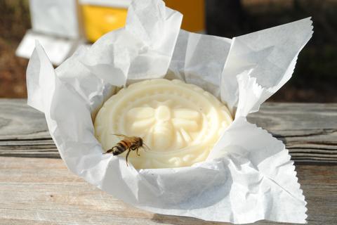 Solid Hand Lotion - Beeswax Lotion - Pocket Sized